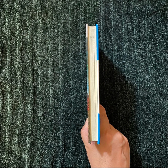 The Missing Chums (Hardy Boys Book 4) Hardcover by Franklin W. Dixon - Picture 5 of 7